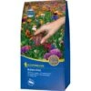 Kiepenkerl Blumen-Wiese 1 Kg -Compoten Geschaft 101220 4161 1