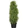 OBI Lebensbaum "Brabant" Höhe Ca. 120 - 140 Cm Topf Ca. 10 L Thuja -Compoten Geschaft 140 cm Topf ca 10 l Thuja