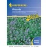 Kiepenkerl Phacelia -Compoten Geschaft 15762 kiepenkerlphacelia 1