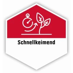 OBI 2 In 1 Vertikutier- Und Nachsaatmix 4 Kg -Compoten Geschaft 241074 8