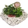 Arrangement In Rattan-Herz Topf-Ø 25 Cm -Compoten Geschaft 2501732 4883 1