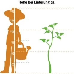 Compoten Geschaft -Compoten Geschaft 2775419 3358 2