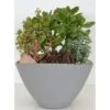 Bepflanzte Schale Mit Sukkulenten Topf-Ø Ca. 25 Cm -Compoten Geschaft 358576 U 3358 1
