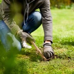 Compo Saat Rasen-Nachsaat 440 G -Compoten Geschaft 4008398338831 COMPO 005