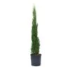 GROW By OBI Toskana-Zypresse Ca. 80/100 Cm Topf Ca. 10 L Cupressus Sempervirens 2 GROW By OBI Toskana-Zypresse Ca. 80/100 Cm Topf Ca. 10 L Cupressus Sempervirens -Compoten Geschaft 4017442052234 4104 S 01