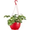 Erdbeer-Ampel Topf-Ø Ca. 25 Cm Fragaria 1 Erdbeer-Ampel Topf-Ø Ca. 25 Cm Fragaria -Compoten Geschaft 490649 3358 1