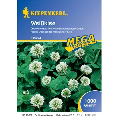 Kiepenkerl Weissklee 3 Kiepenkerl Weissklee