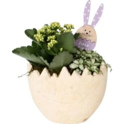 Oster-Arrangement Im Beton-Ei Topf-Ø Ca. 20 Cm