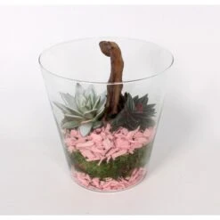 Grünpflanzen-Arrangement Im Glas-Gefäß Topf-Ø Ca. 20 Cm 6 Grünpflanzen-Arrangement Im Glas-Gefäß Topf-Ø Ca. 20 Cm -Compoten Geschaft 8719194194021 4883 2