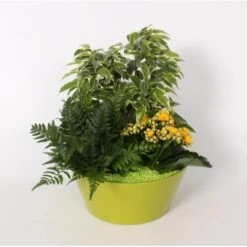 Arrangement Blüh- Und Grünpflanzen Im Farbigen Keramik-Gefäß Topf-Ø Ca. 22 Cm 8 Arrangement Blüh- Und Grünpflanzen Im Farbigen Keramik-Gefäß Topf-Ø Ca. 22 Cm -Compoten Geschaft 8719194194267 4883 3