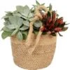 Grünpflanzen-Arrangement Im Jute-Gefäß Topf-Ø Ca. 18 Cm -Compoten Geschaft 8719194198524 4883