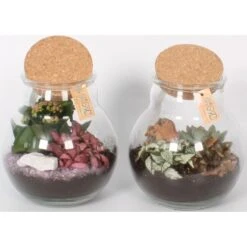 Pflanzen-Arrangement Im Korken-Glas Topf-Ø Ca. 18 Cm 7 Pflanzen-Arrangement Im Korken-Glas Topf-Ø Ca. 18 Cm -Compoten Geschaft 8719194200180 4883 3