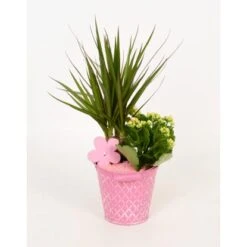 Arrangment In Zinkeimer Verschiedene Farben Topf-Ø Ca. 13 Cm -Compoten Geschaft 8719194201279 4883 2