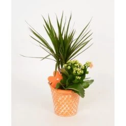 Arrangment In Zinkeimer Verschiedene Farben Topf-Ø Ca. 13 Cm -Compoten Geschaft 8719194201279 4883 3