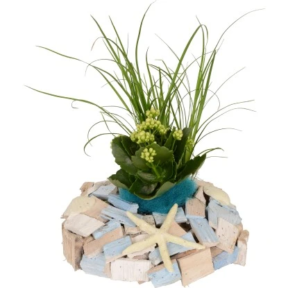 Pflanzen-Arrangement Im Holz-Gefäß Topf-Ø Ca. 27 Cm 3 Pflanzen-Arrangement Im Holz-Gefäß Topf-Ø Ca. 27 Cm