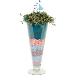 Kanonierblume In Glasvase Topf-Ø Ca. 11 Cm Pilea