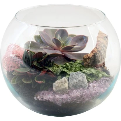 Grünpflanzen-Arrangement Im Glasgefäß Topf-Ø Ca. 20 Cm 3 Grünpflanzen-Arrangement Im Glasgefäß Topf-Ø Ca. 20 Cm