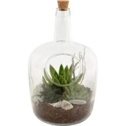 Sukkulenten-Arrangement In Glasflasche Topf-Länge Ca. 22 Cm