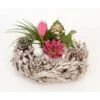 Winterliches Pflanzen-Arrangement Im Deko-Kranz Topf-Ø 30 Cm 2 Winterliches Pflanzen-Arrangement Im Deko-Kranz Topf-Ø 30 Cm -Compoten Geschaft 8719194231061 4883
