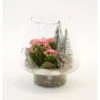 Winterliches Pflanzen-Arrangement Im Glas-Gefäß Topf-Ø Ca. 16 Cm -Compoten Geschaft 8719194231160 4883