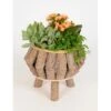 Pflanzen-Arrangement Im Holz-Gefäß Topf-Ø Ca. 21 Cm 2 Pflanzen-Arrangement Im Holz-Gefäß Topf-Ø Ca. 21 Cm -Compoten Geschaft 8719194235236 4883