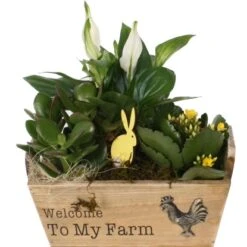 Osterarrangement Im Holz-Gefäß Topf-Ø Ca. 22 Cm