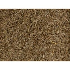 Compo Grow Fresh Grass 1,7 Kg Für 100 M² -Compoten Geschaft 8785081 4497 6