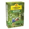 Loretta Reparatur Rasen Mit Mantel WASP 2 Kg -Compoten Geschaft 941999 4002 picture 1